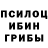 Псилоцибиновые грибы Psilocybe Wallace Porto