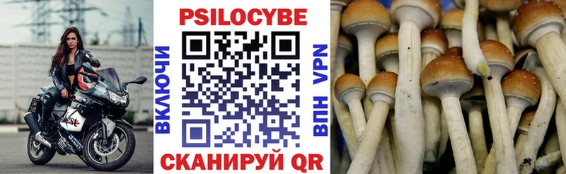 Галлюциногенные грибы Cubensis  Углич 